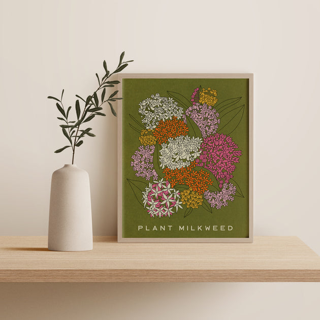Milkweed 11 x 14 Botanical Screen Print