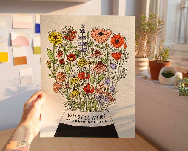 Wildflowers of North America 11x14 Botanical Screen Print