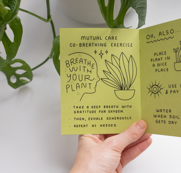 How to Keep a Plant Alive Zine