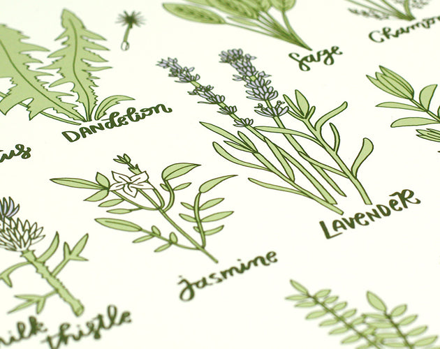 Healing Herbs 11x14 Screen Print