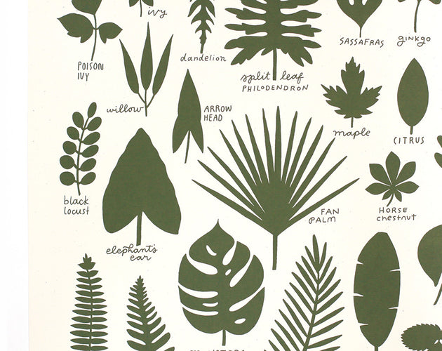 Leaf Studies 16x20 Screen Print