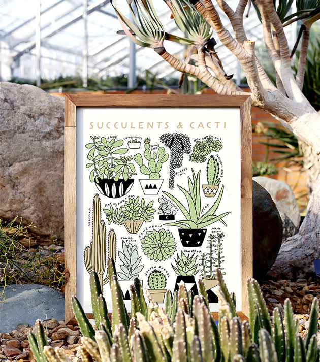 Succulents & Cacti 11x14 Botanical Screen Print
